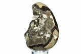 Septarian Dragon Egg Geode - Barite Crystals #308814-1